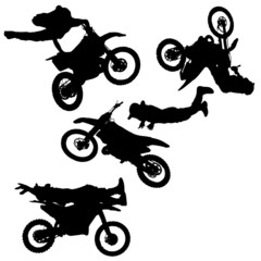 vector silhouette fmx