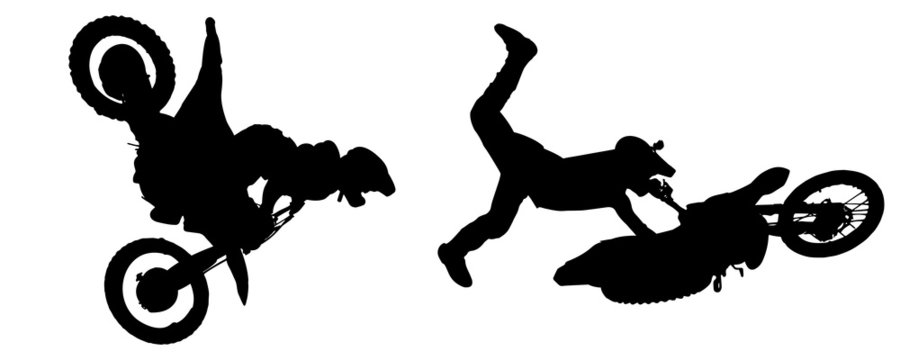 vector silhouette fmx