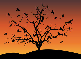 Fototapeta premium birds sitting on a tree