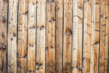 Pine wood board background texture
