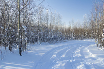Fototapeta na wymiar winter Landscape.