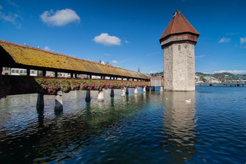 Lucern