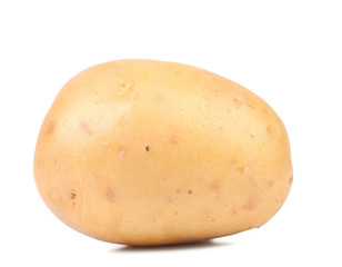 Yellow potato close up.