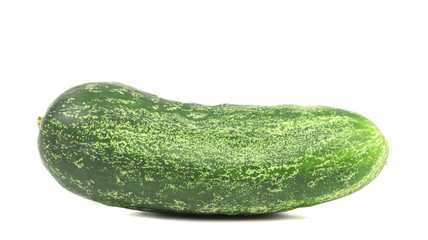 Single green cucumber.