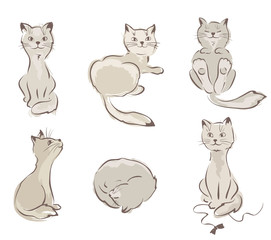 Сollection of cats