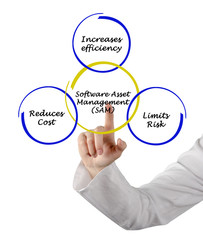 Software Asset Management