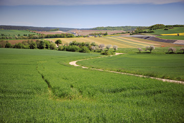 Fototapeta premium rural lansdscape near Coburg