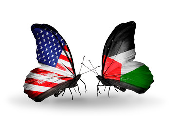 Two butterflies with flags USA and Palestine