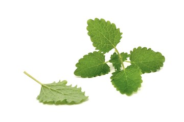 melissa © robert6666