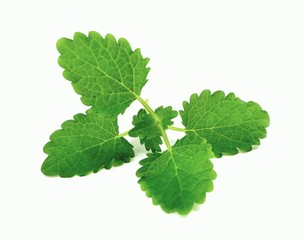 melissa © robert6666