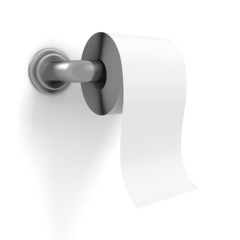 toilet paper on chrome holder white wall