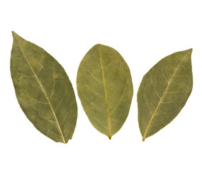 Obraz premium Aromatic bay leaves
