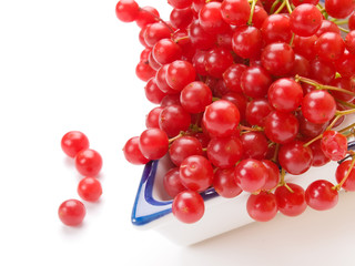 Fresh cranberries in dish isolated on white background