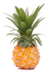 Fototapeta premium Pineapple tropical fruit or ananas