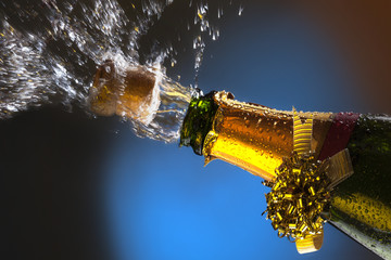 Celebration