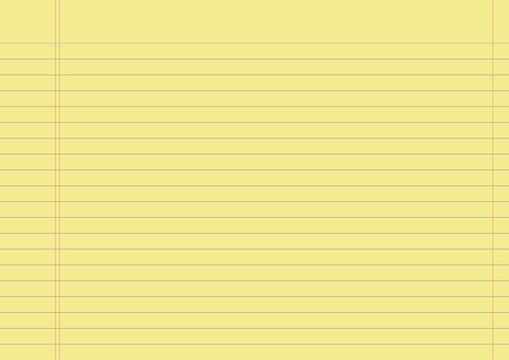 FOGLIO QUADERNO APPUNTI BLOCK NOTES RIGHE