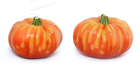 tomate ancienne ananas