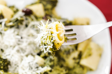 Rigatoni di pasta con cime di rapa e formaggio grana