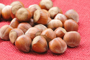 Haselnüsse