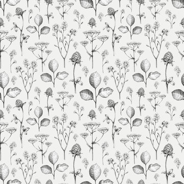 Wild flowers drawing. Seamless pattern