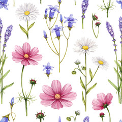 Fototapeta premium Ilustracja dzikich kwiatów. Akwarela bezszwowe wzór