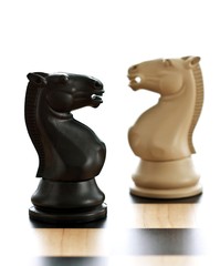 Chess knights - Springer © victoria p.