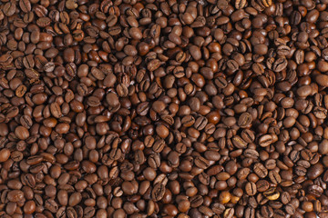 coffee beans