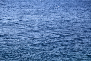 The sea