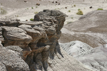 Arid Petrified Forest National Park