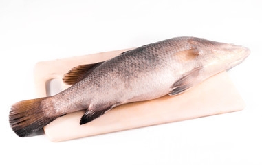 Fish on cutting board isolated on white background.