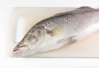 Fish on cutting board isolated on white background.