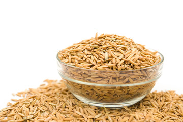 glass bowl of paddy on a white background