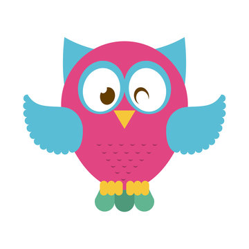 owl design