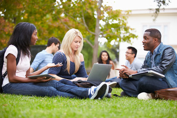 Group Of University Students Working Outside Together