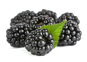 Blackberry with leaf