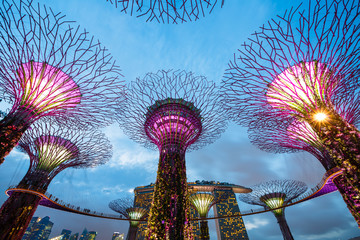 Grands arbres, Singapour