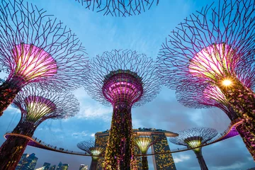 Gordijnen Big Trees, Singapour © asab974
