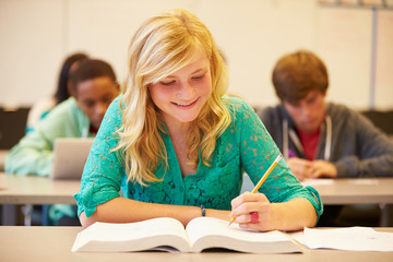 Fototapeta na wymiar Female High School Student Studying At Desk In Classroom