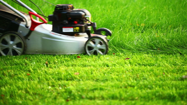 Lawn mower cutting the green grass, HD 1080p