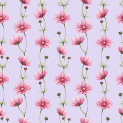 Cosmos flowers illustration. Watercolor seamless pattern