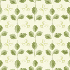 Fototapety  Seamless pattern with a leaves drawing