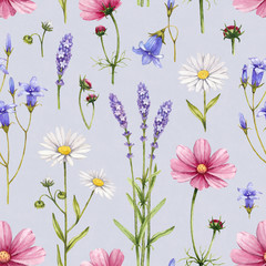 Fototapety  Ilustracja dzikich kwiatów. Akwarela bezszwowe wzór