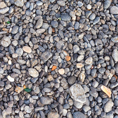 pebble stones as a background texture