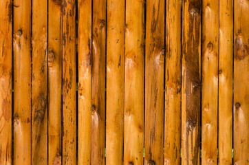 pattern detail of decorative wood texture