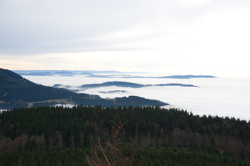 Fototapeta na wymiar Schwarzwald, Black Forest, Germany