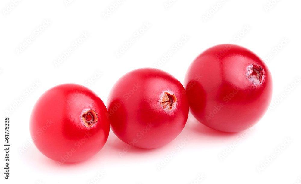 Canvas Prints Fresh cranberries closeup.