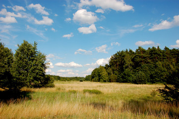 Summer time, grassland and fields