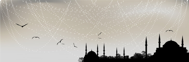 Istanbul silhouette - 61776169