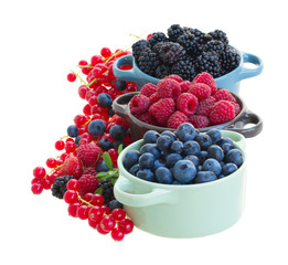 Ripe  of fresh berries in bowls