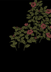 グラフィックパターン